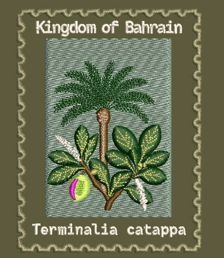 Bahrain Jacket