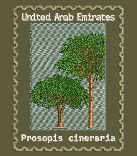 UAE Jacket